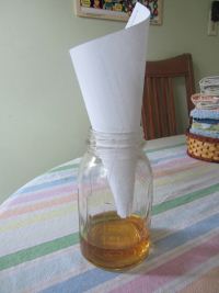 Homemade Fly Trap 1