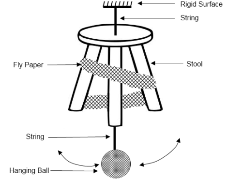 Bting Gnats Trap