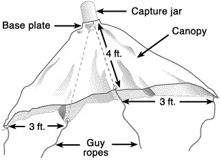 Umbrella-trap-1