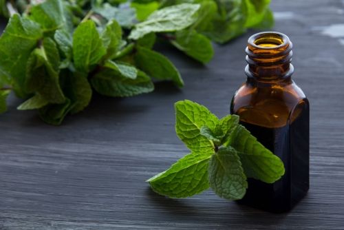 peppermint-oil